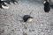 2018_anktarktis_s0011