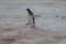 2018_anktarktis_s0025