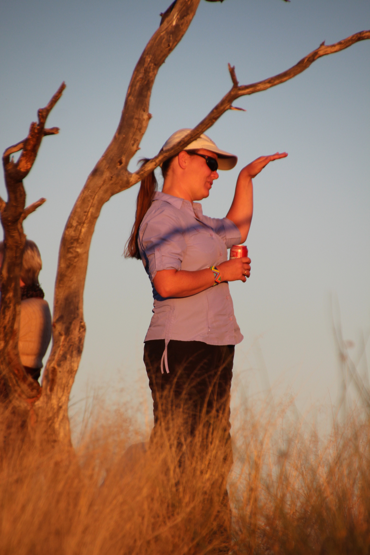 2015_Sundowner